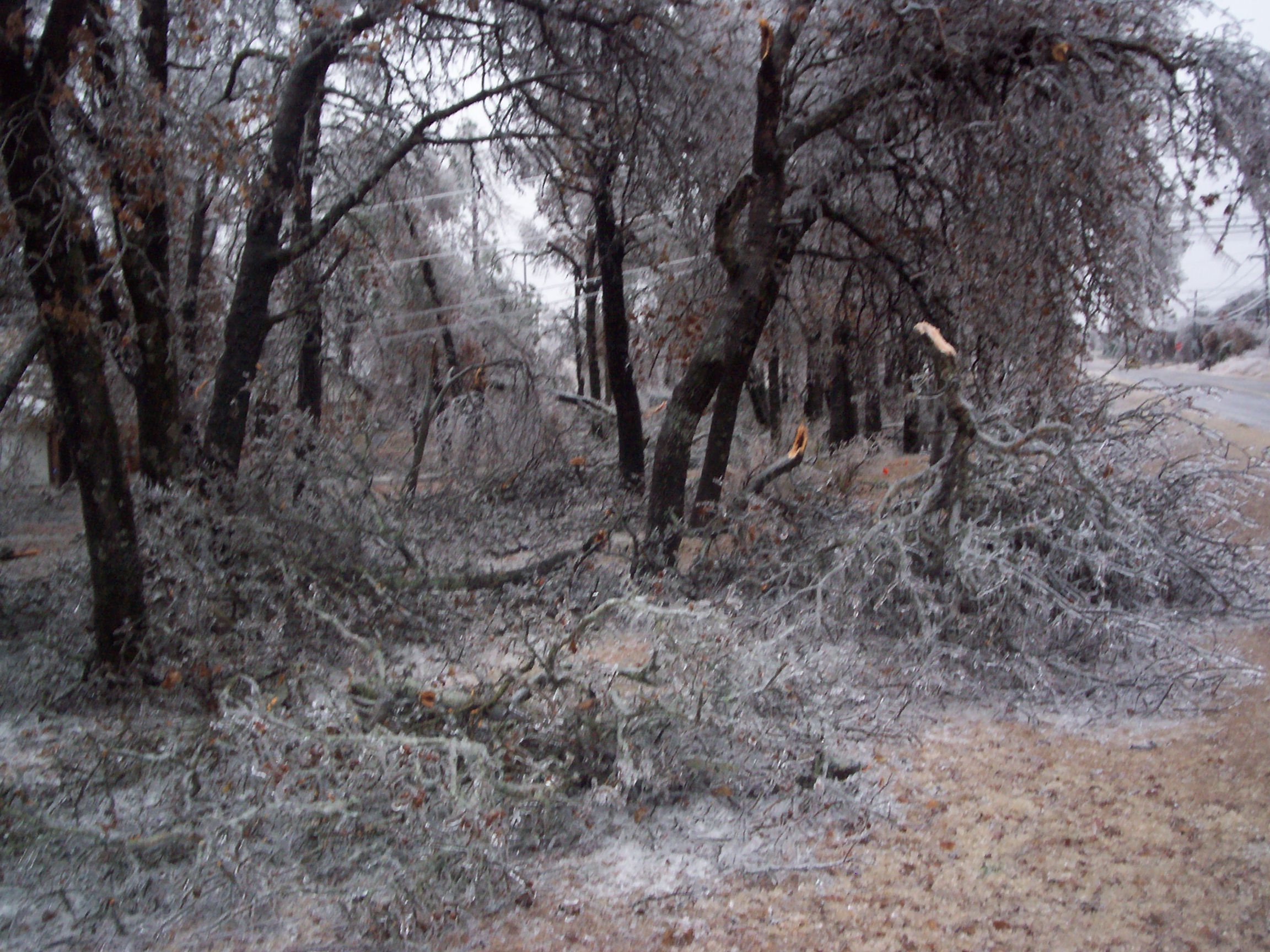 Ice Storm Pictures From Kenneth Lowe In Choctaw, OK photo 2